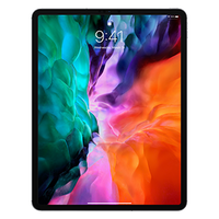 iPad Pro 12.9 inch (2020)