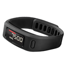 Garmin Vivofit 1