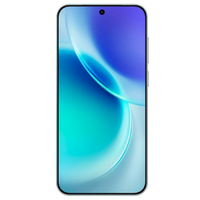 vivo X300 Pro